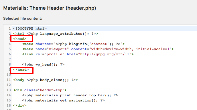  <head>-Element in der header.php-Datei